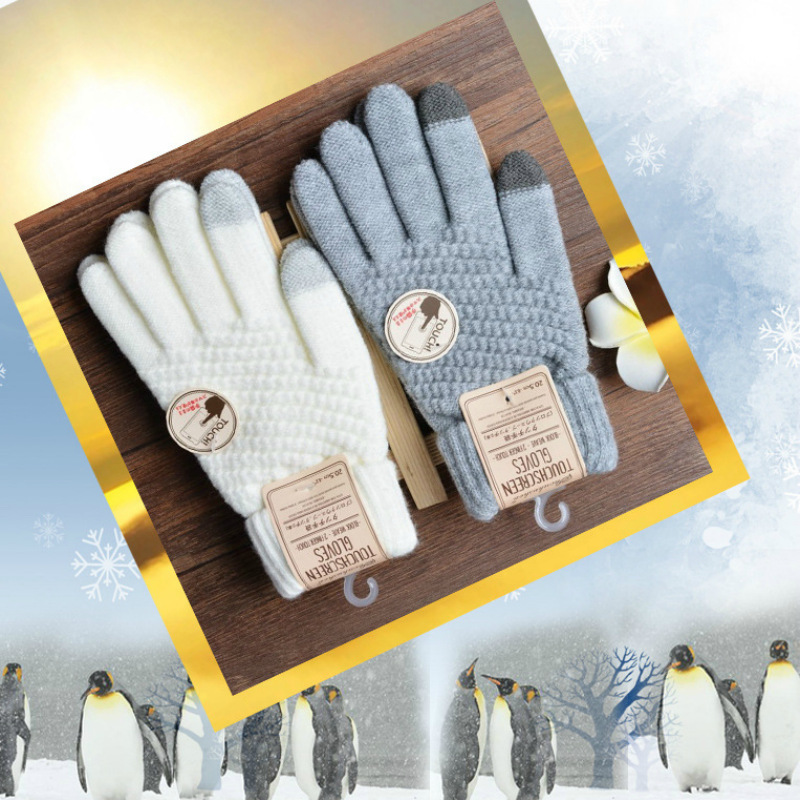 Autumn Winter New Rabbit Hair  - Magic Touch Glove 评论和价格