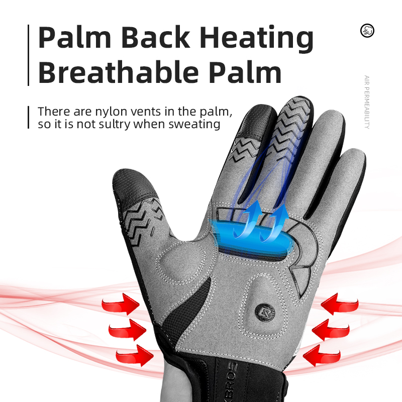 ROCKBROS Heated Winter Glove C - Heat Resistant Glove 评论和价格