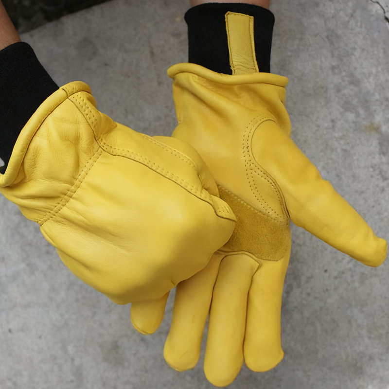 Mens Motorcycle Winter Gloves  - Winter Glove Insulated 评论和价格