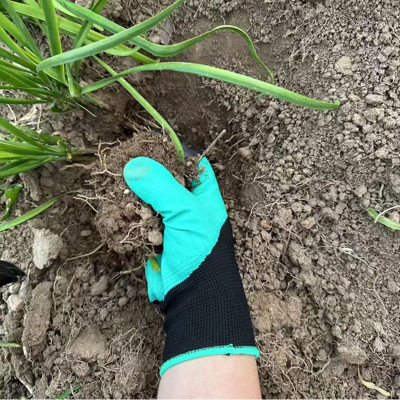 Gardening Gloves with Built-in - Gardening Glove Waterproof 评论和价格